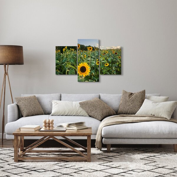 Slika - Polje suncokreta II. (90x60 cm)