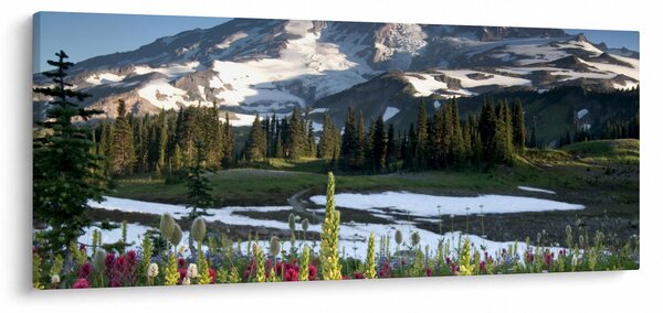 Slika - Mount Rainier (120x50 cm)