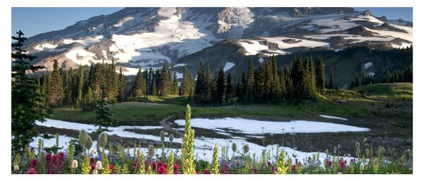 Slika - Mount Rainier (120x50 cm)
