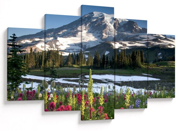 Slika - Mount Rainier (150x105 cm)
