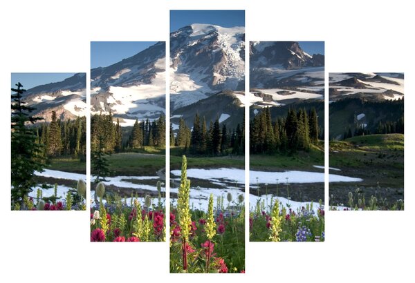 Slika - Mount Rainier (150x105 cm)