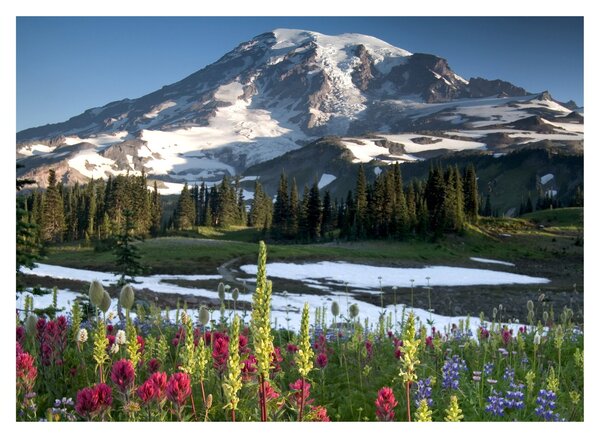 Slika - Mount Rainier (70x50 cm)