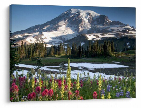Slika - Mount Rainier (70x50 cm)