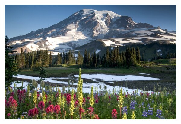Slika - Mount Rainier (90x60 cm)