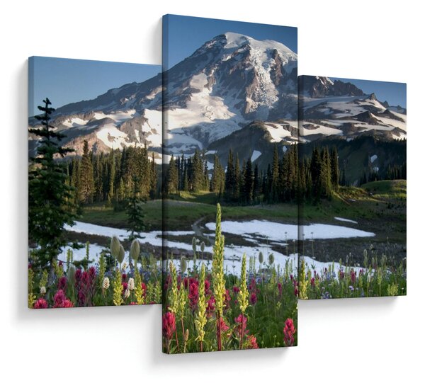 Slika - Mount Rainier (90x60 cm)