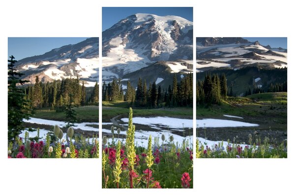 Slika - Mount Rainier (90x60 cm)