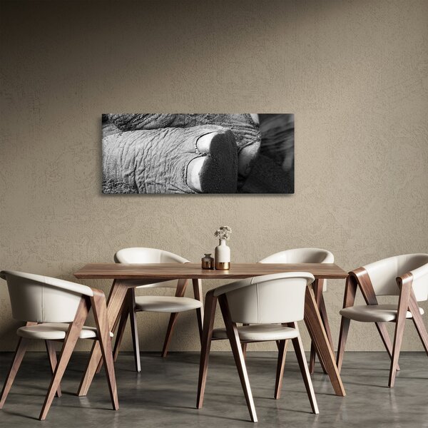 Slika - Slonova noga (120x50 cm)