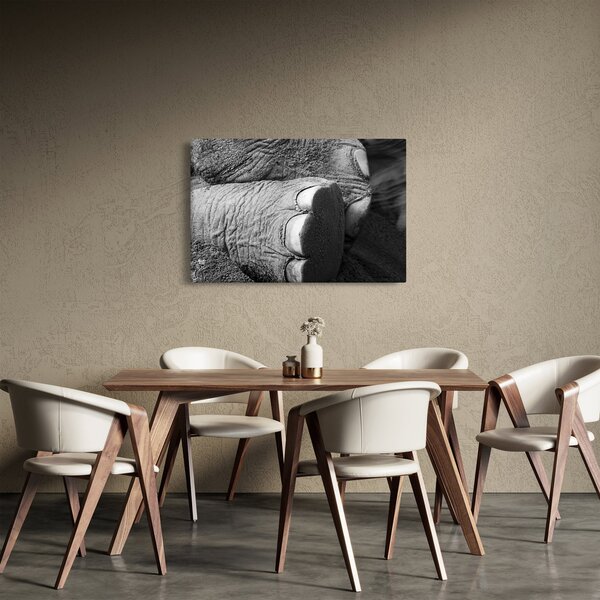 Slika - Slonova noga (90x60 cm)