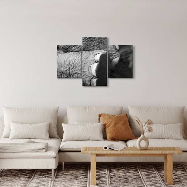 Slika - Slonova noga (90x60 cm)