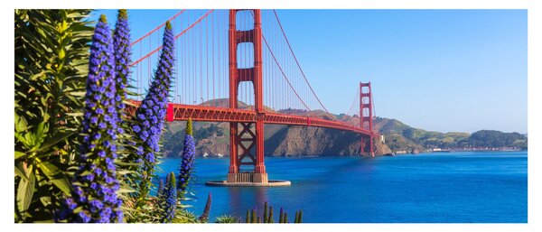 Slika - Most Golden Gate, San Francisco (120x50 cm)