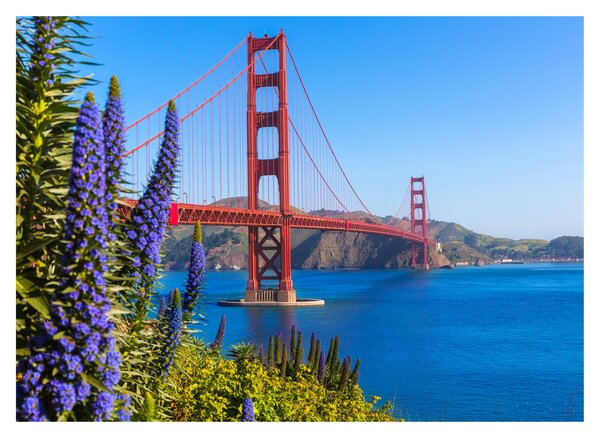 Slika - Most Golden Gate, San Francisco (70x50 cm)