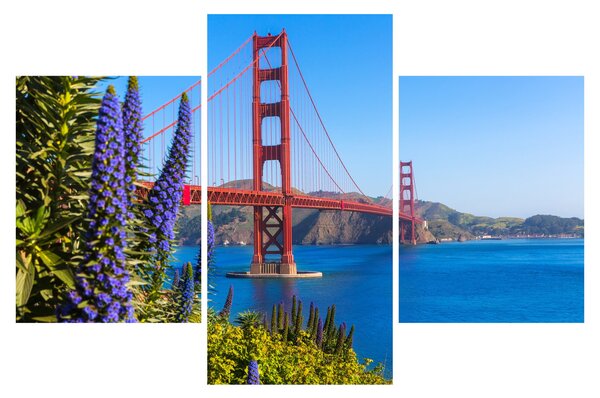 Slika - Most Golden Gate, San Francisco (90x60 cm)