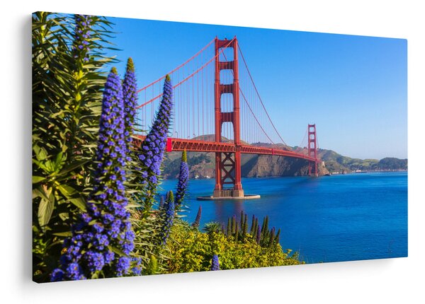 Slika - Most Golden Gate, San Francisco (90x60 cm)