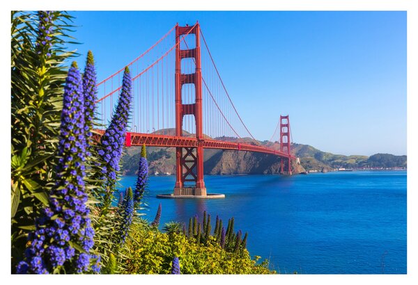 Slika - Most Golden Gate, San Francisco (90x60 cm)