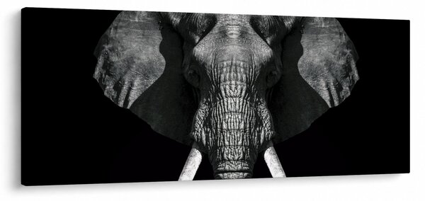 Slika - Slon na crnoj pozadini (120x50 cm)