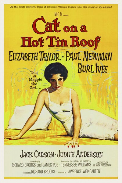 Ilustracija Cat on a Hot Tin Roof / Elizabeth Taylor