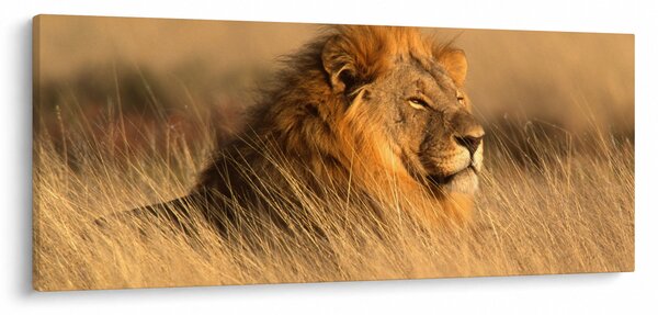 Slika - Nacionalni park Etosha (120x50 cm)