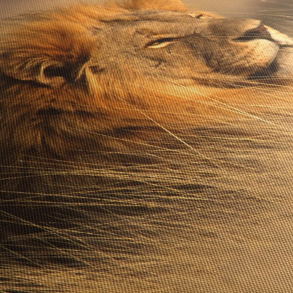 Slika - Nacionalni park Etosha (150x105 cm)