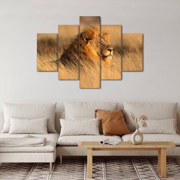 Slika - Nacionalni park Etosha (150x105 cm)