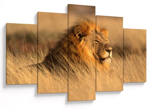 Slika - Nacionalni park Etosha (150x105 cm)
