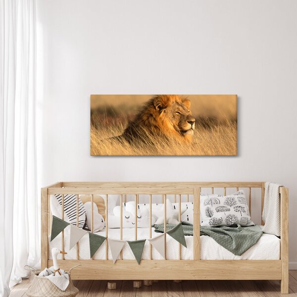 Slika - Nacionalni park Etosha (120x50 cm)