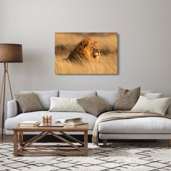 Slika - Nacionalni park Etosha (90x60 cm)