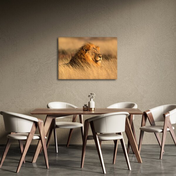 Slika - Nacionalni park Etosha (70x50 cm)