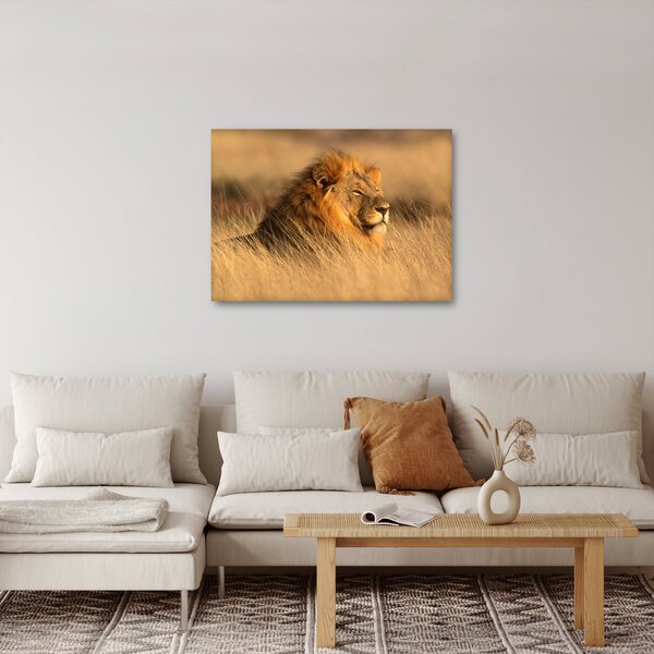 Slika - Nacionalni park Etosha (70x50 cm)