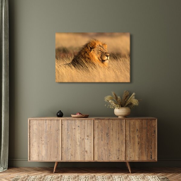 Slika - Nacionalni park Etosha (90x60 cm)