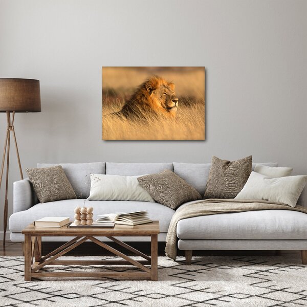 Slika - Nacionalni park Etosha (70x50 cm)