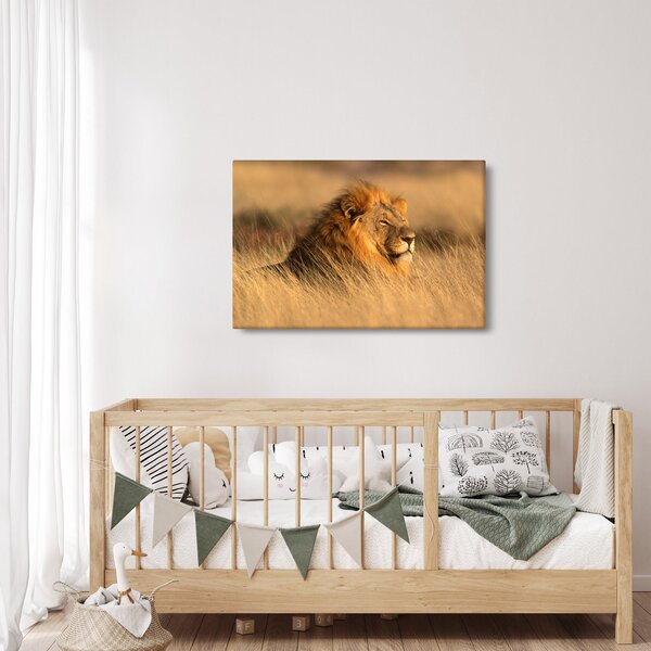 Slika - Nacionalni park Etosha (90x60 cm)