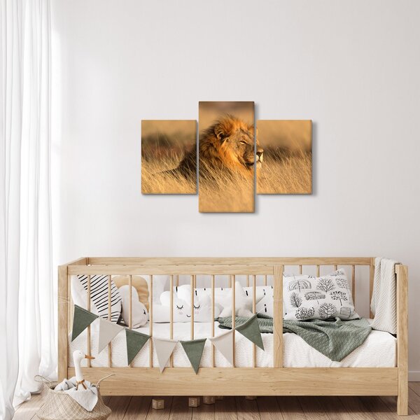 Slika - Nacionalni park Etosha (90x60 cm)