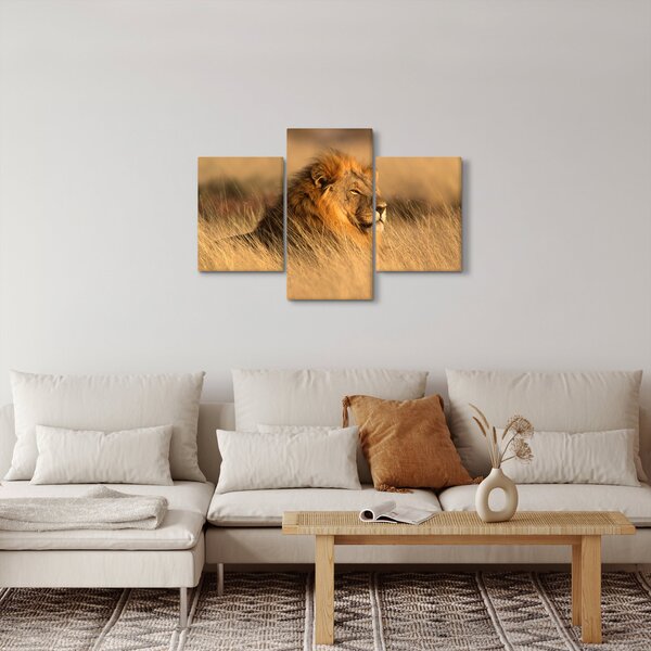 Slika - Nacionalni park Etosha (90x60 cm)