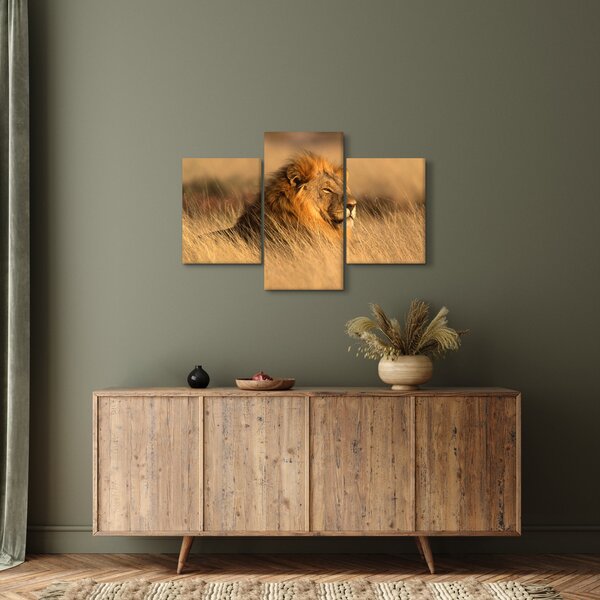 Slika - Nacionalni park Etosha (90x60 cm)