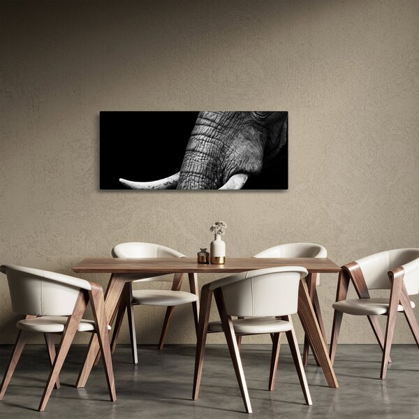 Slika - Slonove kljove (120x50 cm)