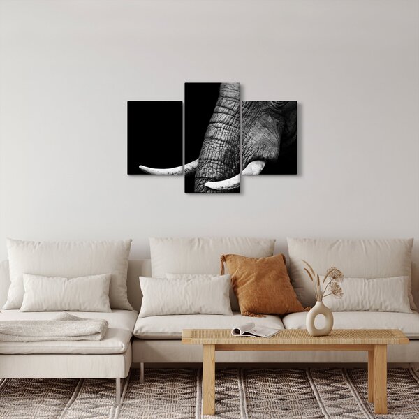 Slika - Slonove kljove (90x60 cm)