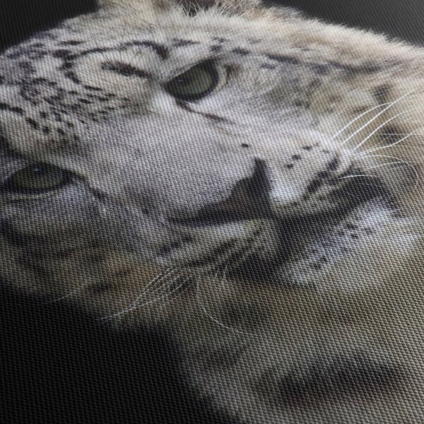 Slika - Snježni leopard (70x50 cm)
