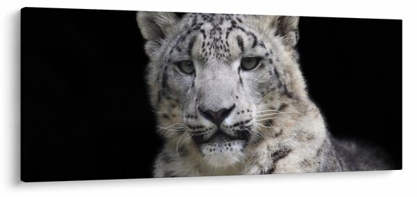Slika - Snježni leopard (120x50 cm)