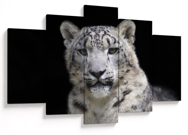 Slika - Snježni leopard (150x105 cm)