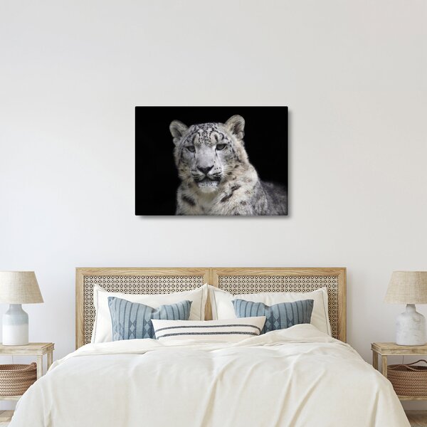 Slika - Snježni leopard (70x50 cm)