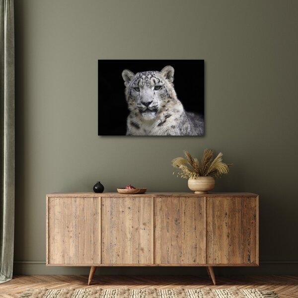 Slika - Snježni leopard (70x50 cm)