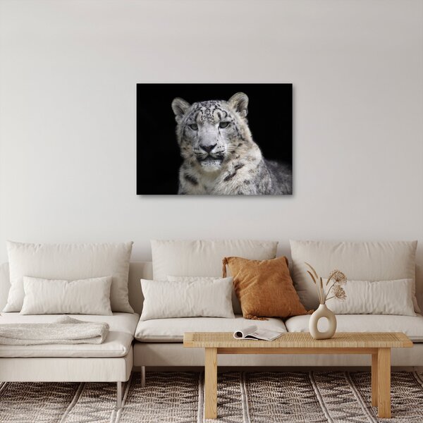 Slika - Snježni leopard (70x50 cm)