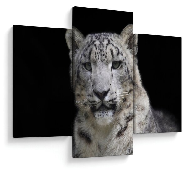 Slika - Snježni leopard (90x60 cm)