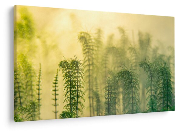 Slika - Detalj proljetne maglovite prirode (90x60 cm)