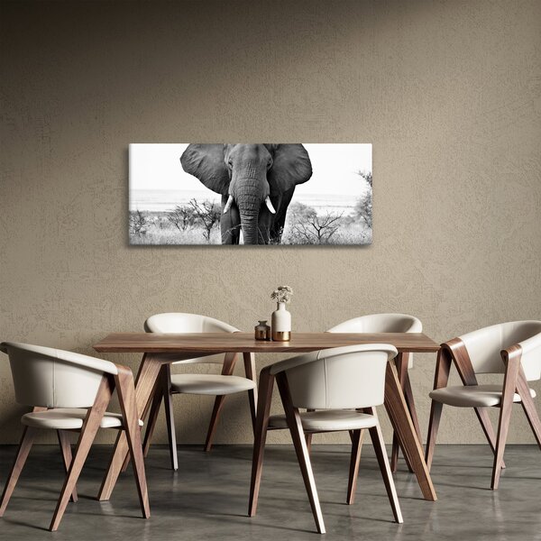 Slika - Afrički slon II. (120x50 cm)