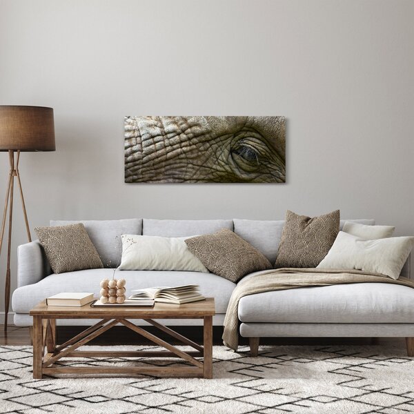 Slika - Krupni plan oka starog slona (120x50 cm)