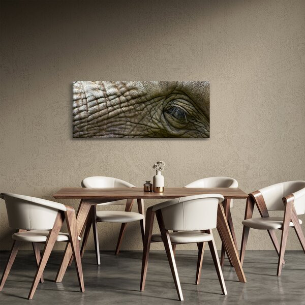 Slika - Krupni plan oka starog slona (120x50 cm)