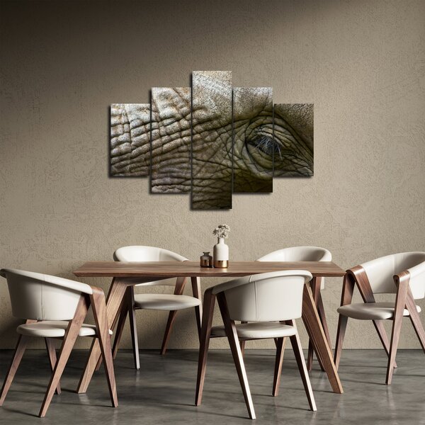 Slika - Krupni plan oka starog slona (150x105 cm)