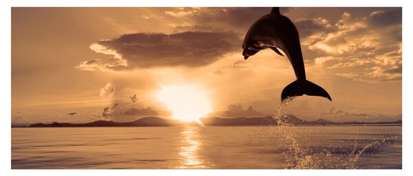Slika - Delfin na zalasku sunca (120x50 cm)