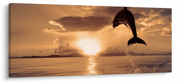 Slika - Delfin na zalasku sunca (120x50 cm)